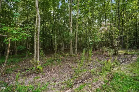 285 Old Eason Road Zebulon NC 27597