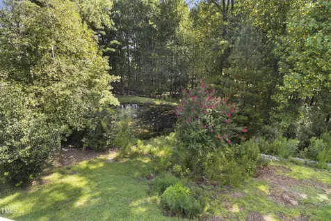1046 Ponderosa Trail Cameron NC 28326