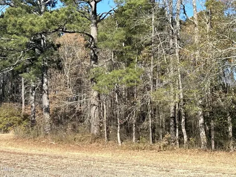 0 Guy Road Clayton NC 27520