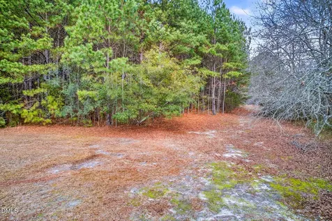 Lot C Kendall Lane Zebulon NC 27597