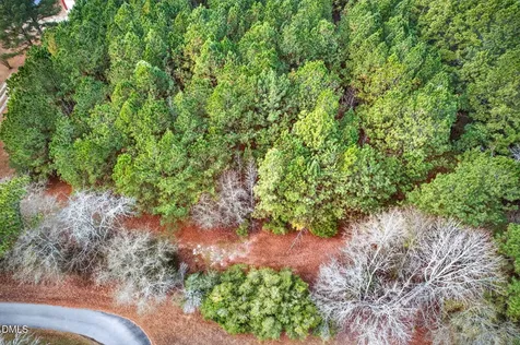 Lot C Kendall Lane Zebulon NC 27597