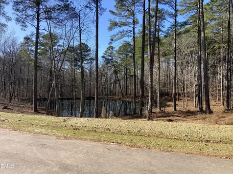 6713 Bartley Point Drive New Hill NC 27562
