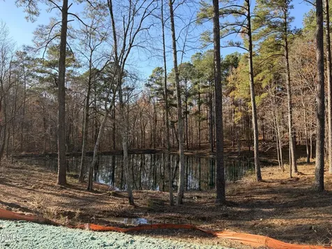 6713 Bartley Point Drive New Hill NC 27562