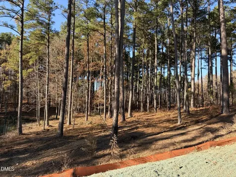 6713 Bartley Point Drive New Hill NC 27562