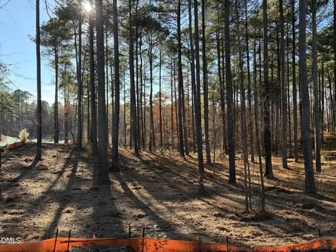 6713 Bartley Point Drive New Hill NC 27562