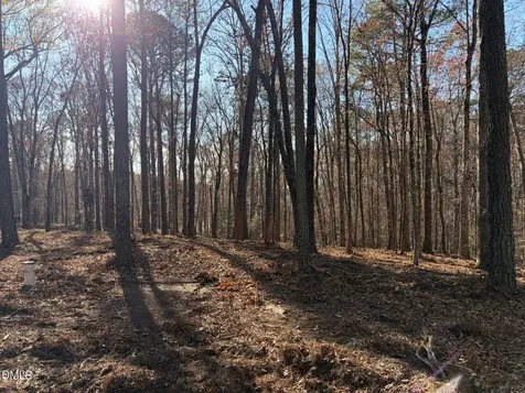 6729 Bartley Point Drive New Hill NC 27562