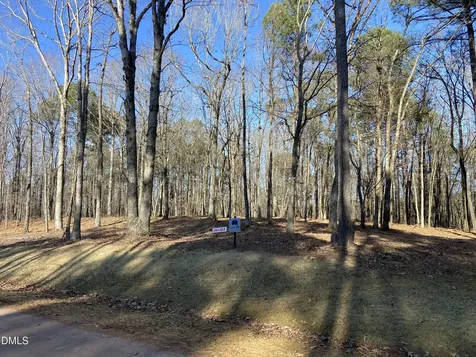 6728 Bartley Point Drive New Hill NC 27562