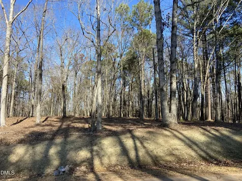 6728 Bartley Point Drive New Hill NC 27562