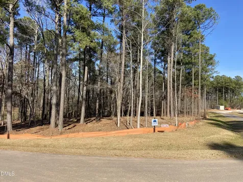 6608 Bartley Point Drive New Hill NC 27562