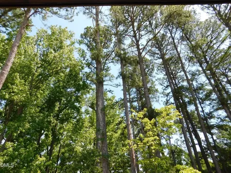 2542 Vining Branch Way Apex NC 27523
