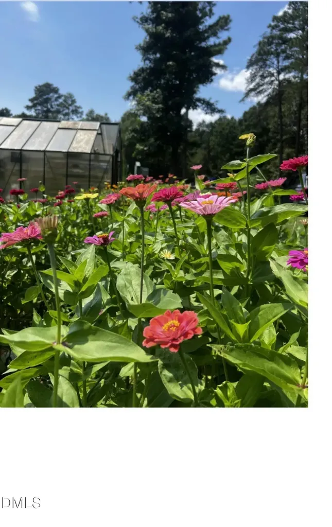 2345 Honeypot Lane Chapel Hill NC 27516