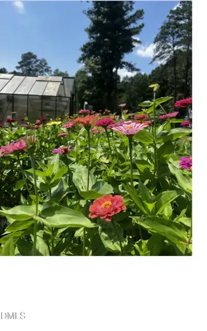 2345 Honeypot Lane Chapel Hill NC 27516
