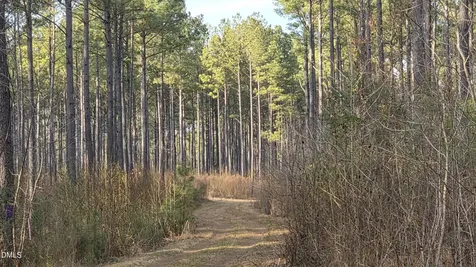 104 Hal Moore Louisburg NC 27549