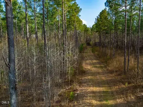 104 Hal Moore Louisburg NC 27549