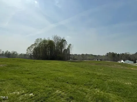 94 Starry Sky Drive Benson NC 27504