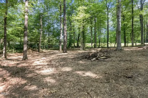 Lot 2 Helena Moriah Road Timberlake NC 27583