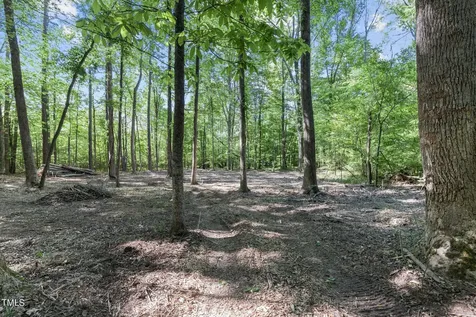 Lot 2 Helena Moriah Road Timberlake NC 27583