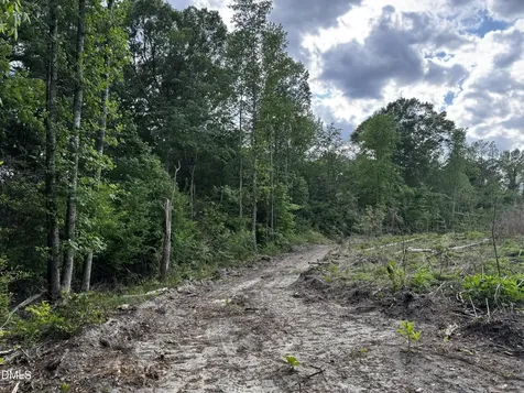 0 N Nc 11 Highway Murfreesboro NC 27855