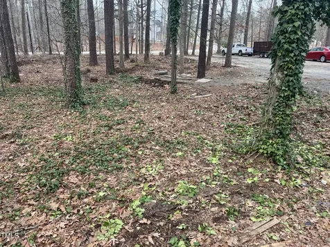 118 Stella Court Morrisville NC 27560