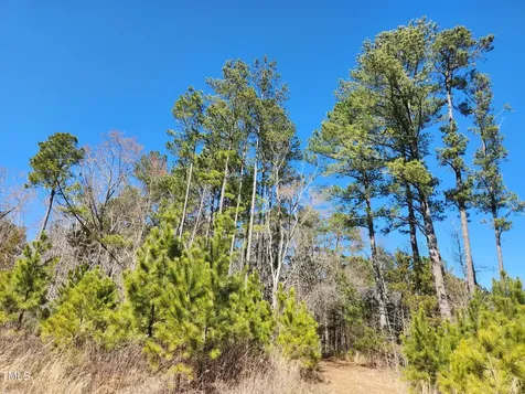 3004 Us 401 Highway S Louisburg NC 27549