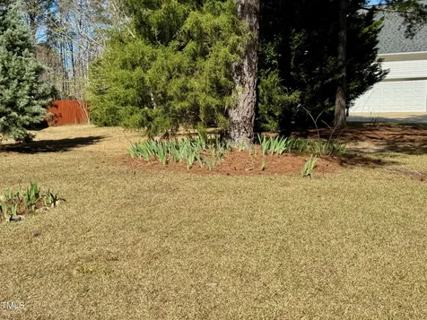 20 Willows Den Court Youngsville NC 27596