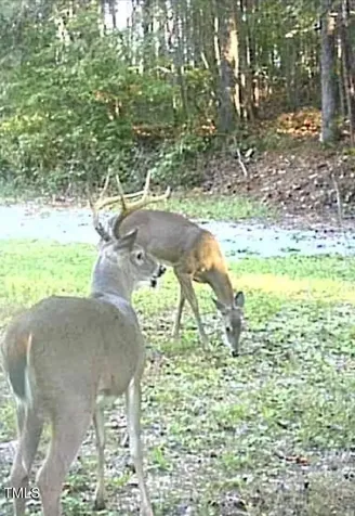 616 Watkins Road Hillsborough NC 27278