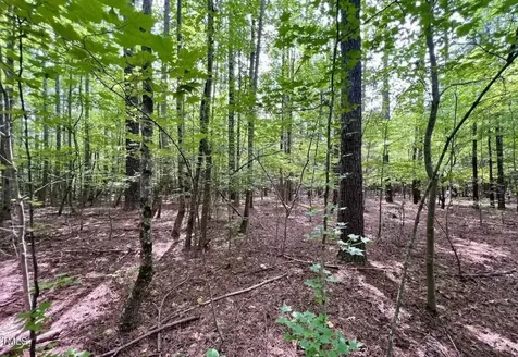 38 Gordon Lane Macon NC 27551