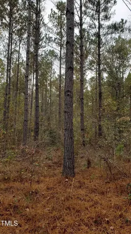 2769 Nc-211 Eagle Springs NC 27242