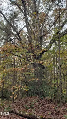 2769 Nc-211 Eagle Springs NC 27242