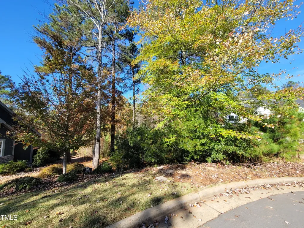 149 Brandy Mill Pittsboro NC 27312