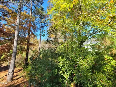 149 Brandy Mill Pittsboro NC 27312