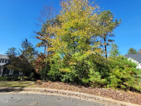 149 Brandy Mill Pittsboro NC 27312