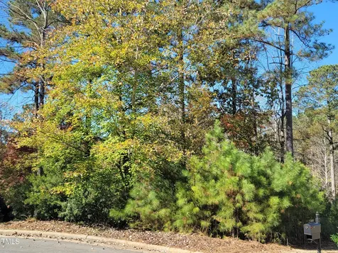 149 Brandy Mill Pittsboro NC 27312