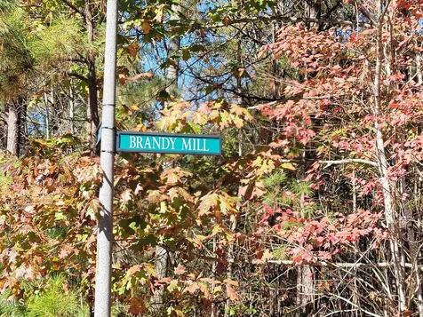149 Brandy Mill Pittsboro NC 27312