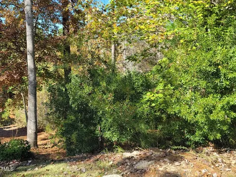 149 Brandy Mill Pittsboro NC 27312
