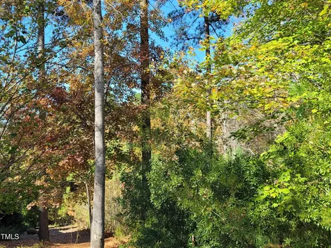 149 Brandy Mill Pittsboro NC 27312