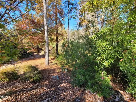 149 Brandy Mill Pittsboro NC 27312