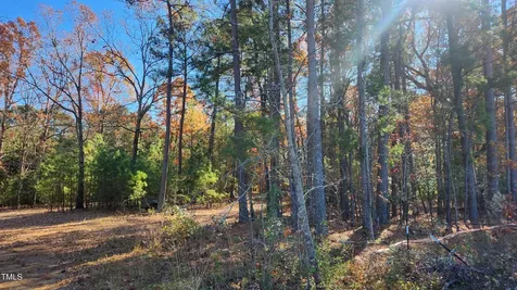 3909 Langston Circle Apex NC 27539