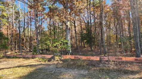 3909 Langston Circle Apex NC 27539