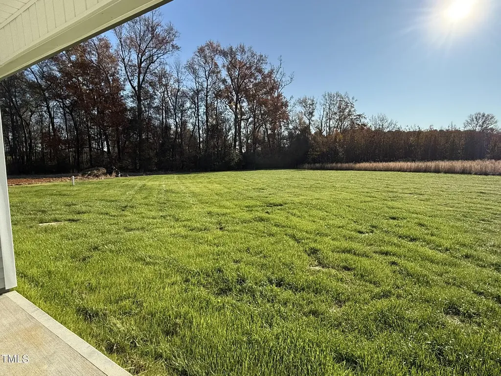 198 Pate Landing Drive Selma NC 27576