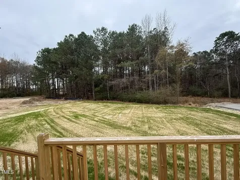 193 Magnolia Run Way Benson NC 27504
