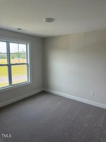 23 Surles Landing Way Benson NC 27504