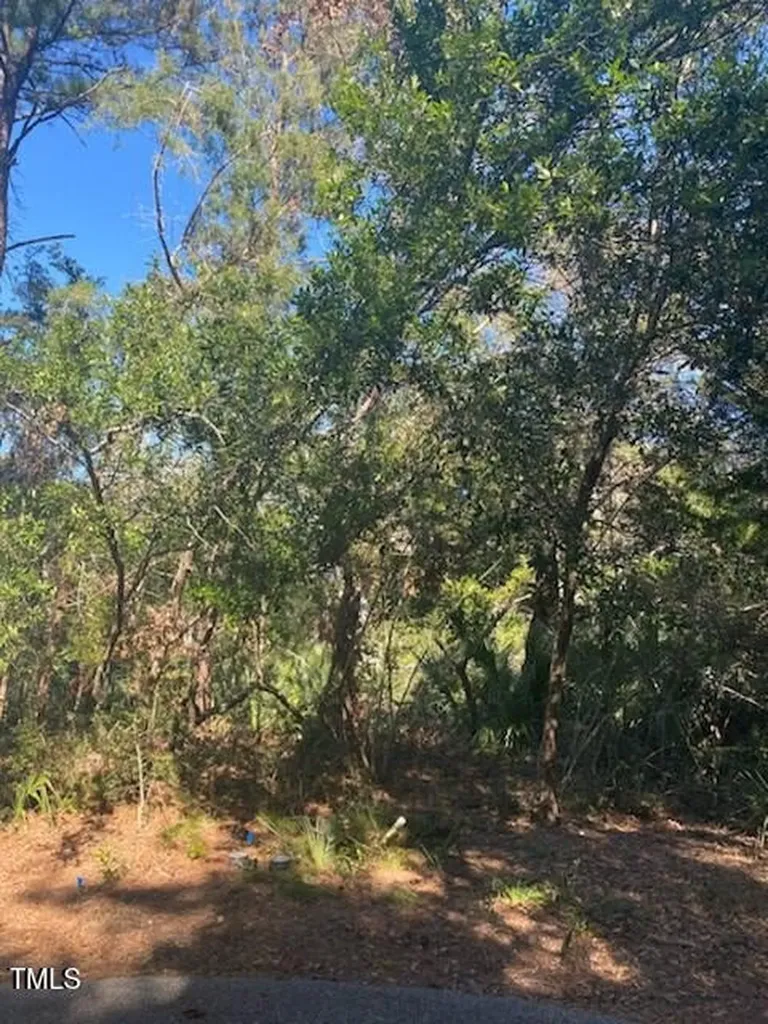 9 Laurel Cherry Court Bald Head Island NC 28461