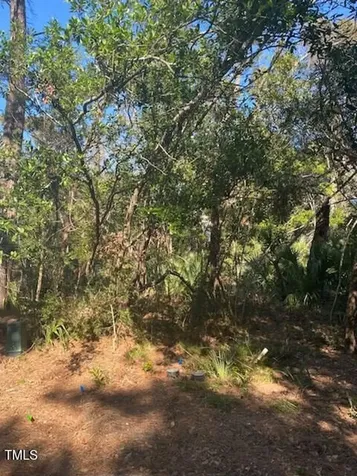 9 Laurel Cherry Court Bald Head Island NC 28461