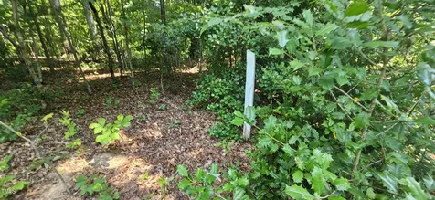 5833 Germanton Road Winston-salem NC 27105