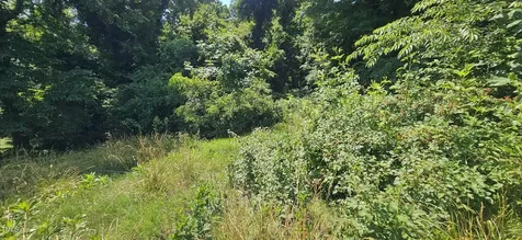 5833 Germanton Road Winston-salem NC 27105