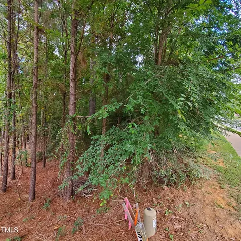 774 Golfers View Pittsboro NC 27312