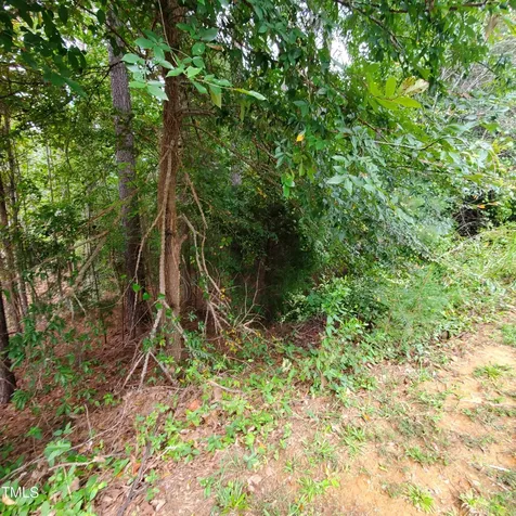 774 Golfers View Pittsboro NC 27312