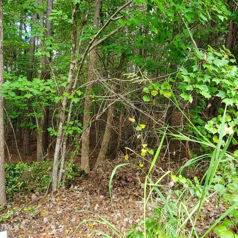 774 Golfers View Pittsboro NC 27312