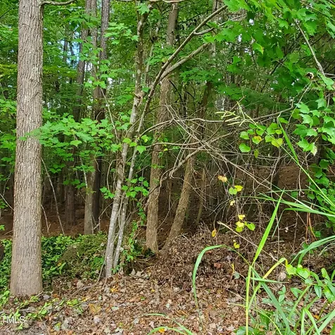 774 Golfers View Pittsboro NC 27312